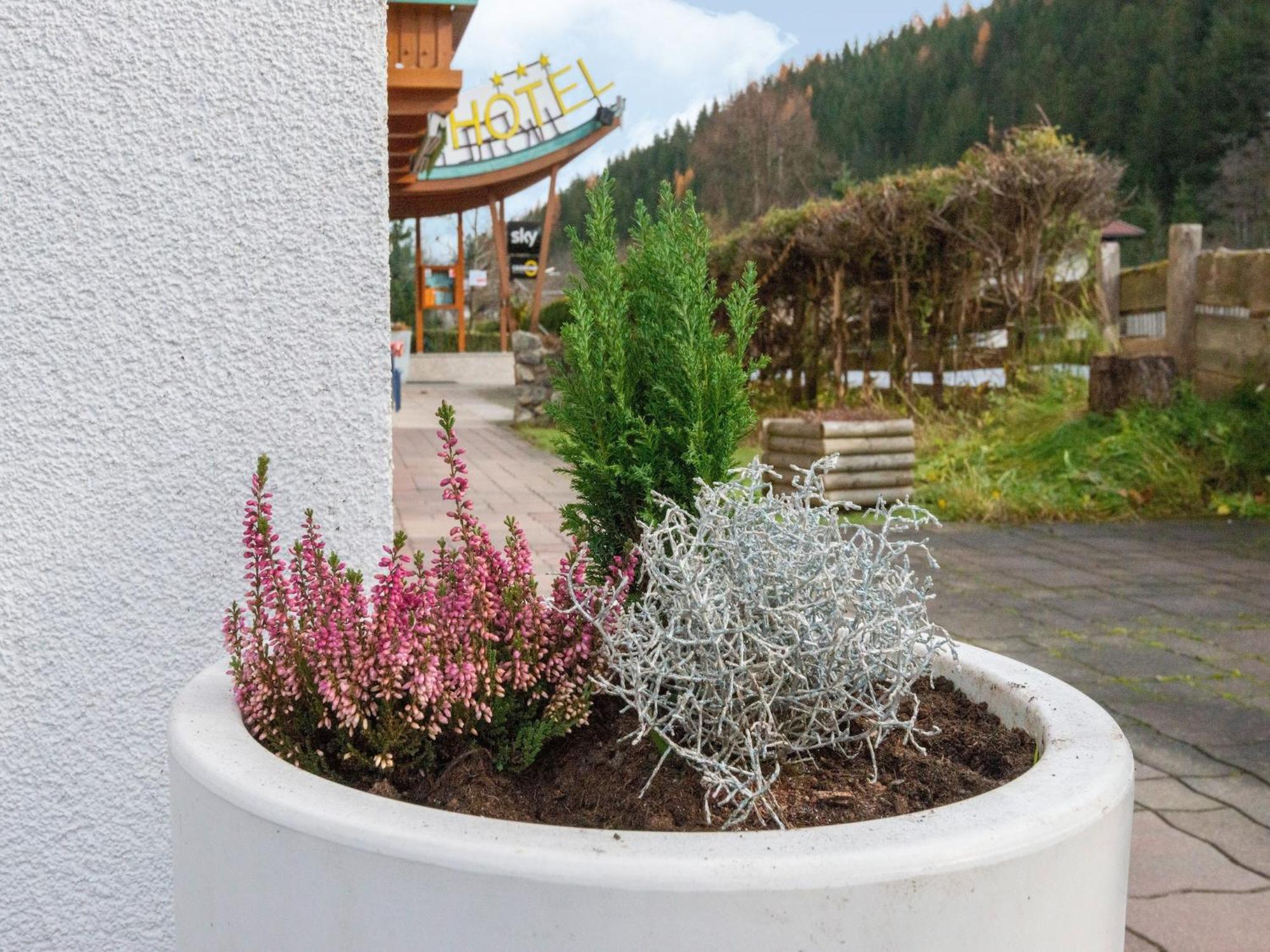 Lovely Apartment With Sauna Ski Storage Pool Terrace Wald im Pinzgau Exterior foto